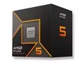Ryzen 5 9600 BOX