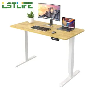 LSTLIFE 昇降デスク 電動昇降デスク スタンディングデスク 昇降式 テーブル テレワーク オフィスデスク 在宅ワーク デスク パソコンデスク メモリー機能 高さ調節73~118cm 耐荷重100kg 幅120*60cm