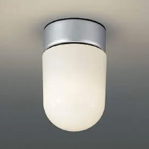 LED軒下シーリングライト 防雨型 天井・壁面取付用 白熱球60W相当 電球色 シルバーメタリック AU40443L
