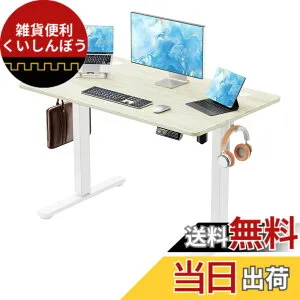【送料無料】Anovara 昇降デスク 電動 昇降式デスク 幅100cm 奥行60cm 上下昇降 スタンディングデスク オフィスデスク 高さ72-118cm 高さメモリー機能 障害検知 静音 色：ナチュラル木目調、サイズ