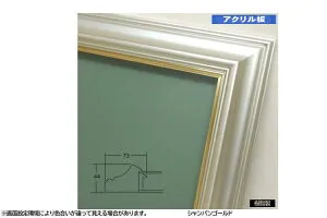 3455N シャンパンゴールド F3号 273×220mm 油彩額 油絵額 油彩額縁 油絵額縁 額縁