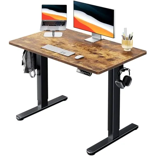 ErGear 電動 昇降デスク 一枚板 スタンディングデスク 無段階高さ調節 4つのメモリー機能 上下自動昇降 収納フック付き パソコン pc ゲーミングデスク 在宅ワーク スタンドデスク 机(幅100 x 奥行き60 x 高さ72-118cm) ビンテー