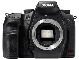 SD1 Merrill ボディ