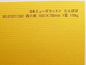 OKミューズコットン 紙 118kg A1サイズ 30枚入り 選べる全50色厚さ0.22mm 841mm×594mm ファンシーペーパー オリオン たんぽぽ