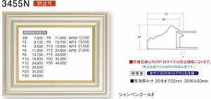 額縁 油絵額縁 油彩額縁 フレーム 額装用 3455N WF3号 シャンペンゴールド 金 5,860円～