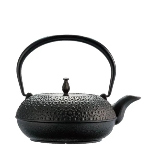 2026年4月下旬入荷予定(国産) 南部鉄器 鉄瓶 H-200 東雲亀甲 1L 200V・100V IH対応 ガス・直火・電気コンロ対応 日本製 及源鋳造 OIGEN