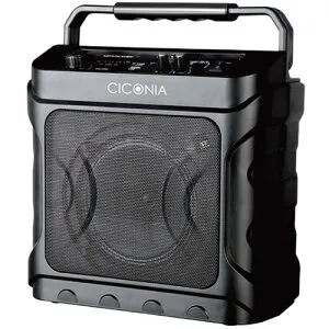 センター商事 CICONIA デスクトップスピーカー(CDD160A) 取り寄せ商品